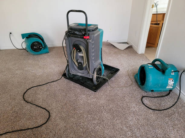 Best 24-hour water damage restoration  in Las Vegas, NV