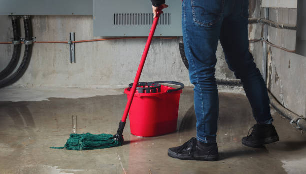 Best Flood damage cleanup  in Las Vegas, NV