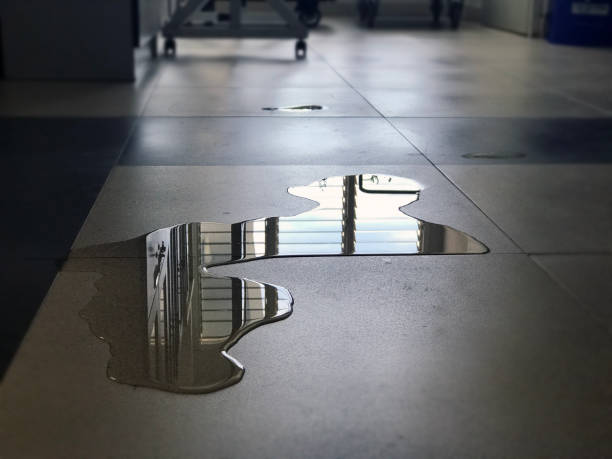Reliable Las Vegas, NV Water damage restoration Solutions