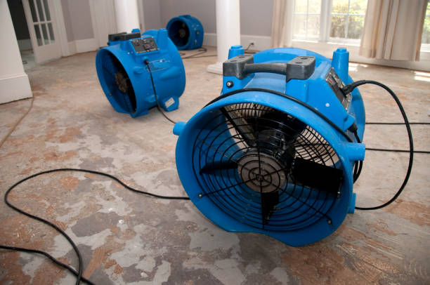 Best Water damage restoration cost  in Las Vegas, NV