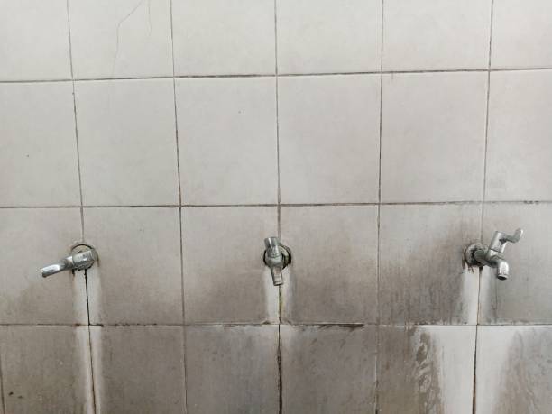 Best Mold removal after water damage  in Las Vegas, NV