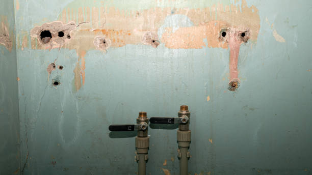 Best Water damage restoration specialists  in Las Vegas, NV