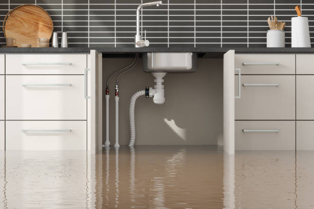 Best Flood restoration services  in Las Vegas, NV