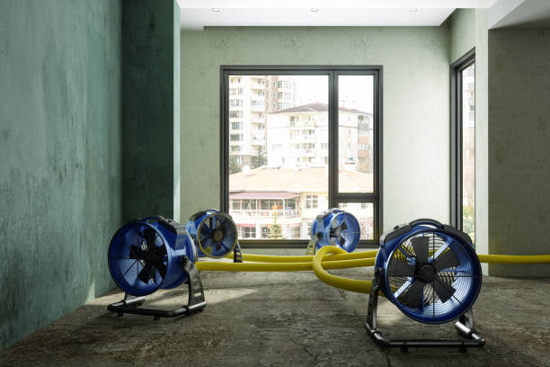 Best Water damage cleanup near me  in Las Vegas, NV